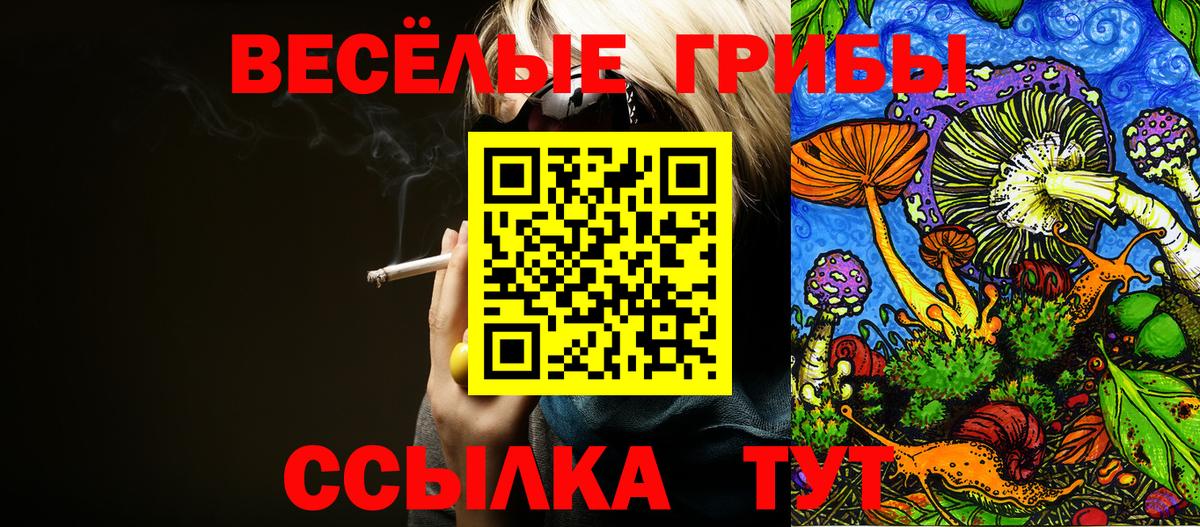 Галлюциногенные грибы Magic Shrooms Иркутск